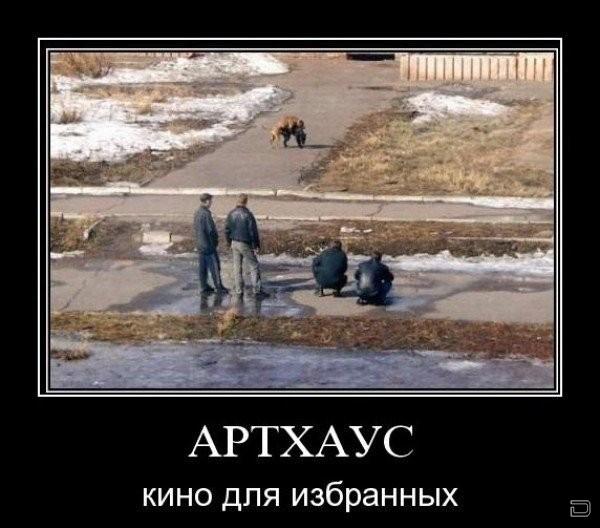 Демотиваторы.