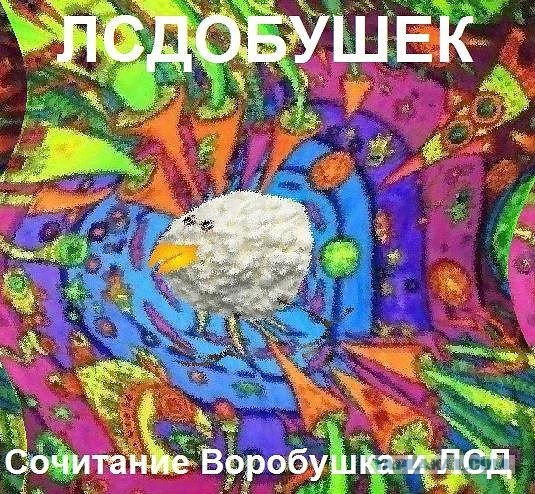 Мичуринский эксперимент - творобушек