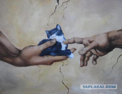 Улыбнуло