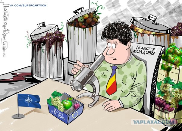 Кризис в Украине глазами карикатуристов