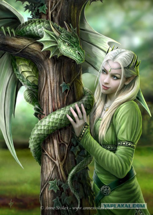 Плюсомет со шпалометом