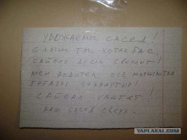 В нашем доме поселился замечательный сосед...
