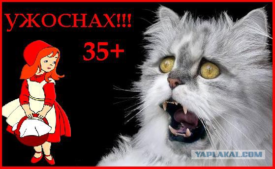 Санкции по пояс