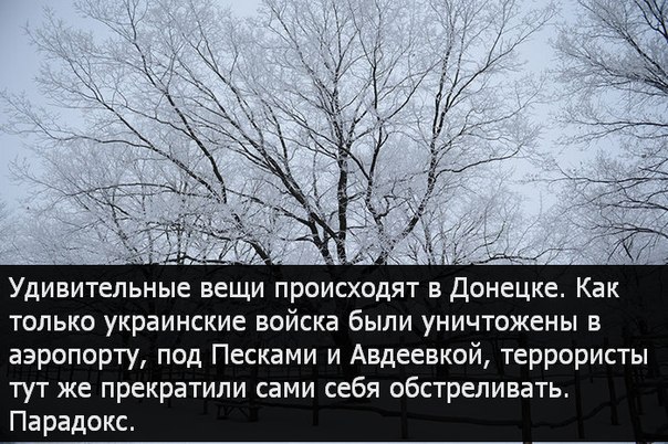 Перемирие кончилось, едва начавшись.