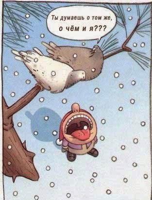 комментарии из соц сетей.
