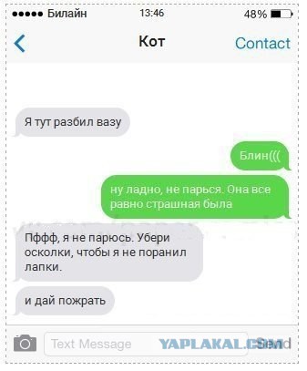 Если бы коты писали смс 2