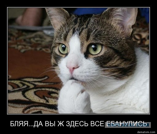 Что обычные люди ждут осенью