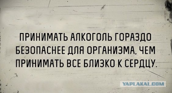 Алкоголь: стереотипы, борьба и медицинские факты