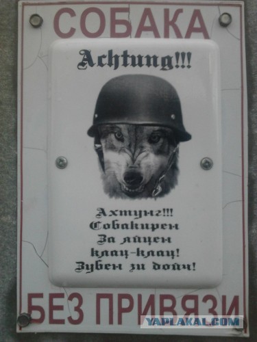 Таблички собачьи