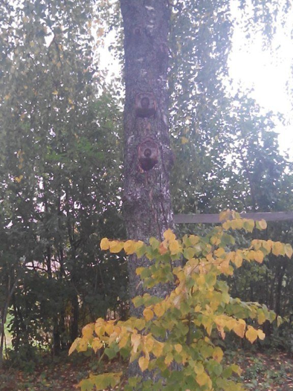 Апофения — поиск взаимосвязей в случайных данных.