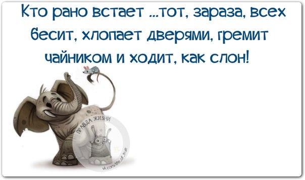 Картинки и демотиваторы