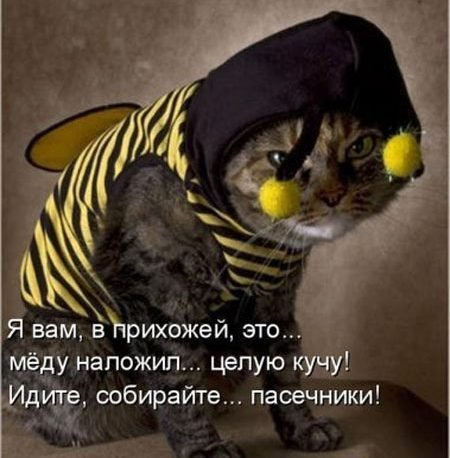 Картинки и демотиваторы