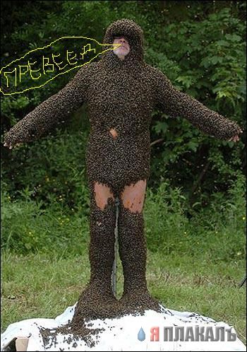 Превед медвед!