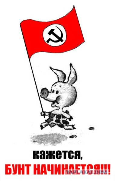 Бунтари против системы