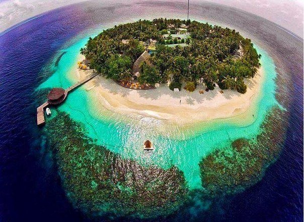 Моменты, запечатлённые на фото и просто позитив 5