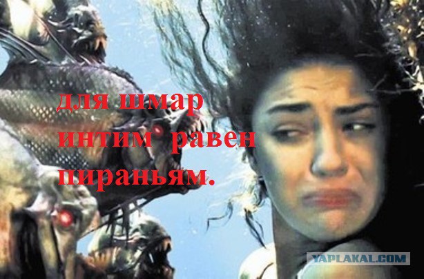 Содержанки и спонсоры - Только рыбку съесть