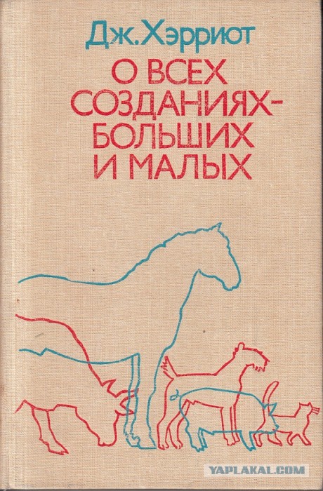 А знаете, где у коровы "место"?