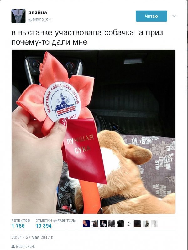 Смешные комментарии  03.06.17