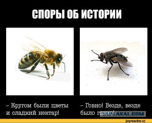 Ивангород – Нарва: Евросоюз на том берегу