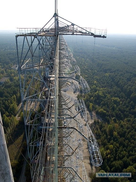 Фукусима продолжает убивать