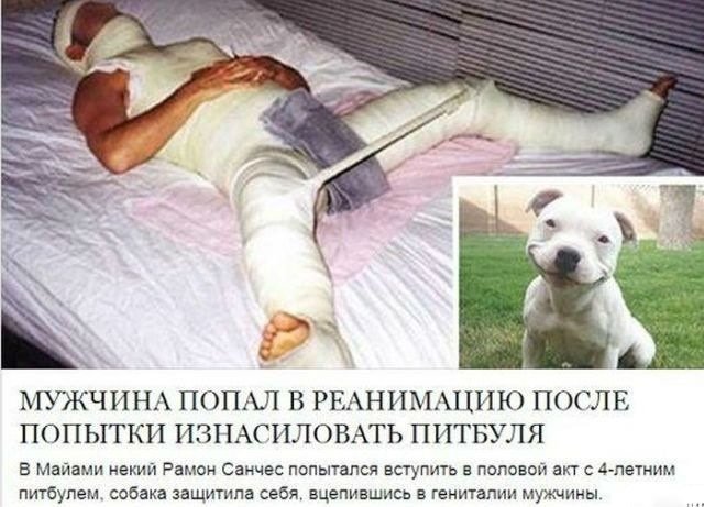 Нестандартный юмор