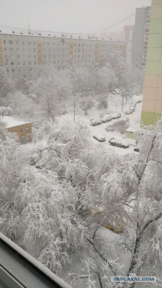 А что у вас за окном?
