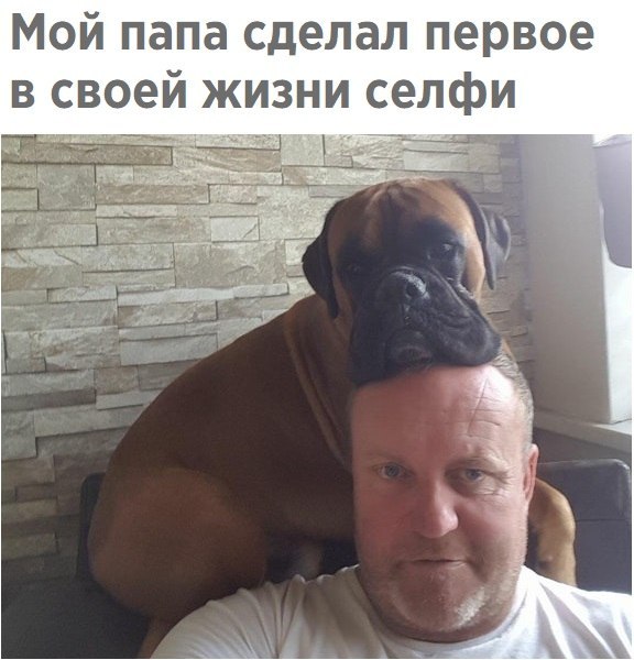 Прикольные картинки обо всём