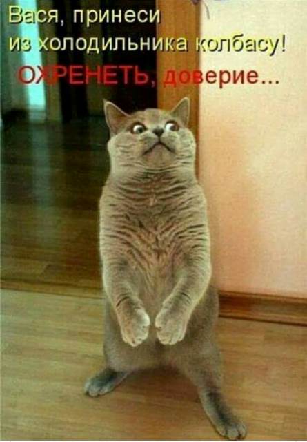 Нестандартный юмор