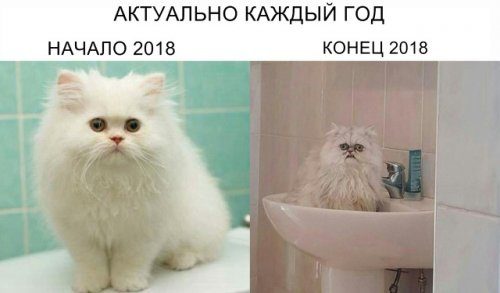 Странные фотоприколы...