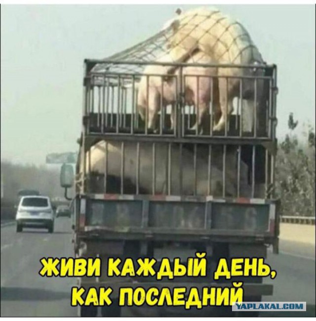 44 умные мысли