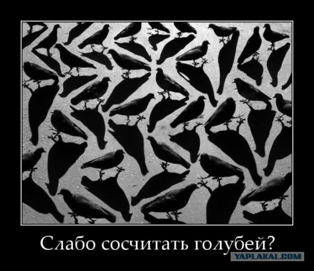 103 картинки для поднятия настроения!