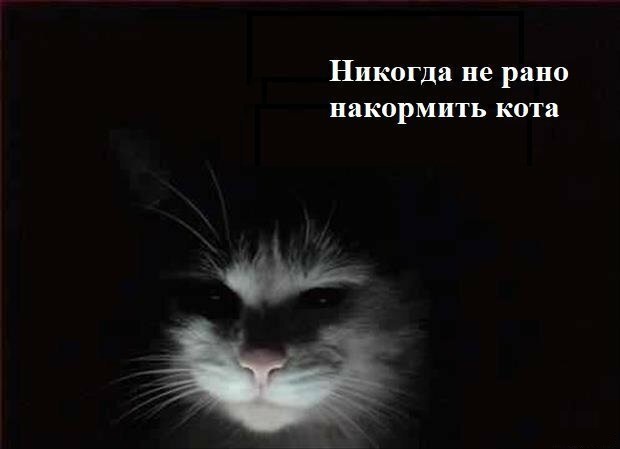 Анекдоты, соц-сети и картинки с надписями