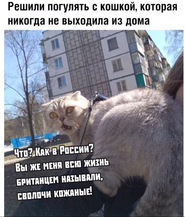 Немного картинок для настроения