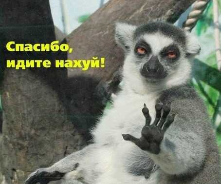 Кого звать, если...