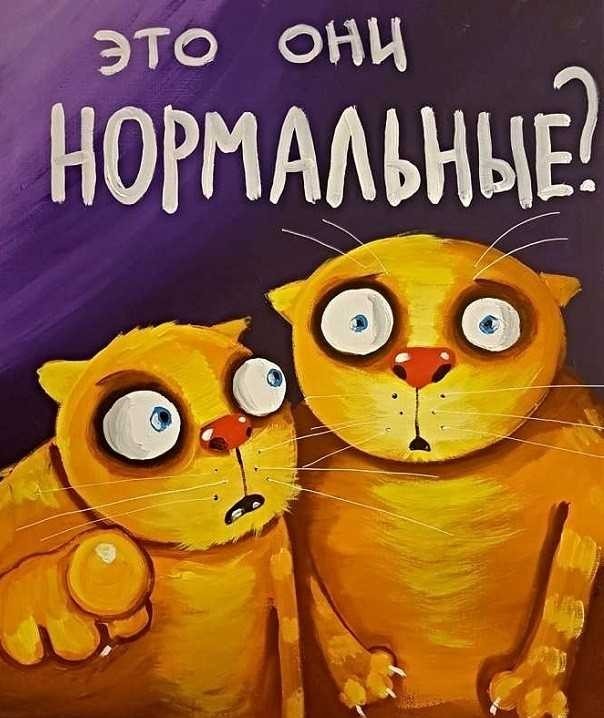 Оторванная от реальности. Удивительная встреча первого мира с третьим
