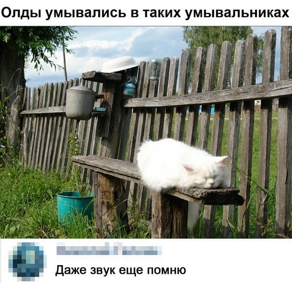 Картинки всякие 17.09.2019