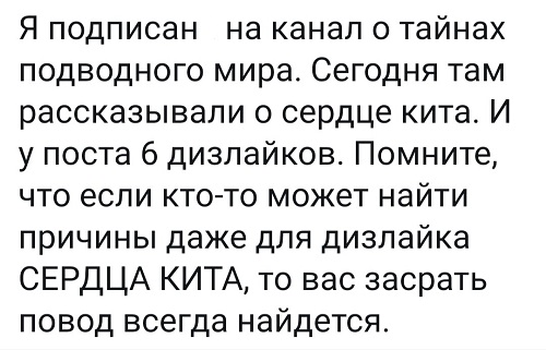 Картинки, которые я НЕ видел на портале