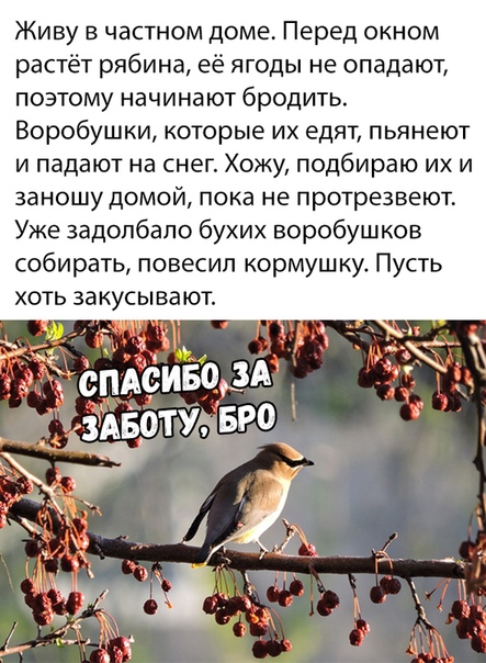 Немного картинок с надписями и без - 27