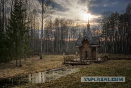 Страшнее коронавируса: На Крым идет засуха, грозящая убить все живое.