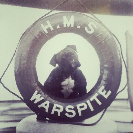 Преодолевшая судьбу. История Warspite