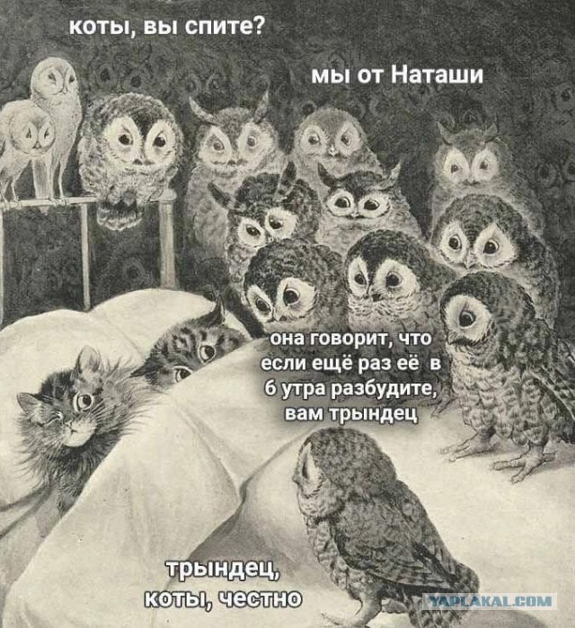 Наташа, вставай!