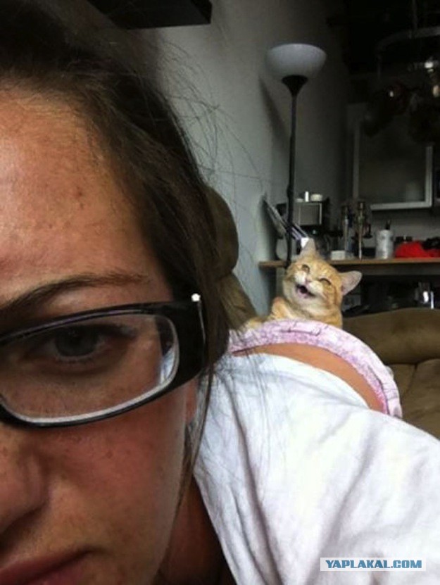 К пятнице. Немного слегка пошлых картинок с надписями 16+ (17.07.2020)