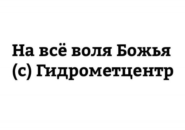 Фотки и картинки: юморные и красивые, забавные и милые 13.09.20
