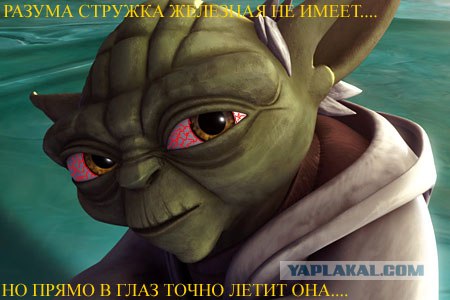 Фотожаберы откликнитесь: техника безопасности