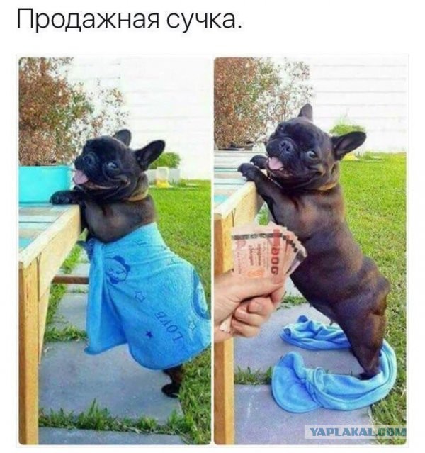 Что раздражает мужчин в женщинах: 13 топ-недостатков