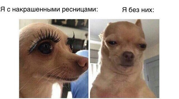 Чутка лайтовой фигни в ленту