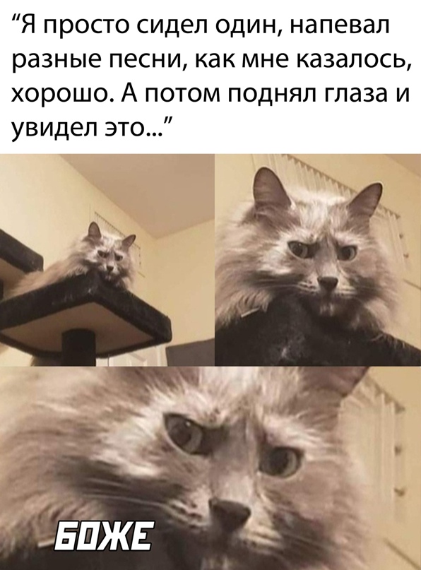 Весёлый полтишок 5.04