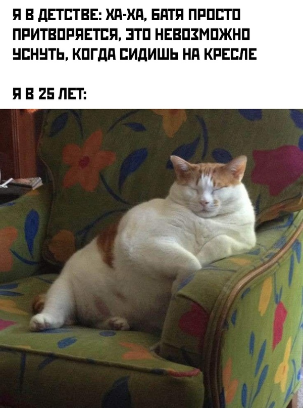 Весёлый полтишок 23.05
