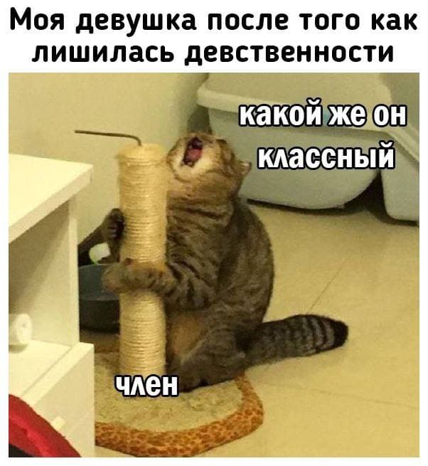 Пятница. И немного слегка пошлых картинок с надписями и без 16+ (20.08))