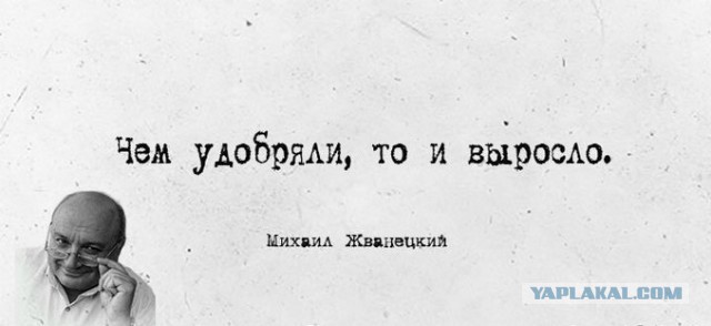 Как раньше КГБ проводило обыск (рассказ старого чекиста)